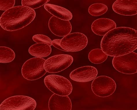 Free Photo 3d Render Of Blood Cells On Abstract Background
