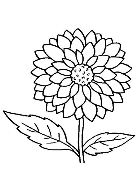 flower coloring pages  adults     collection  beautiful flower  flower