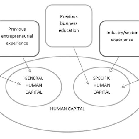 Dimensions Of Human Capital Download Scientific Diagram
