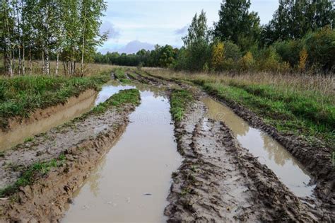 Dirt Road Flooded With Water After Rain Stock Photo Image Of