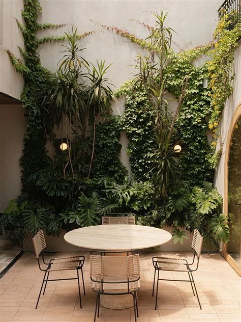 Biophilic Design The Many Uses Of Plants In Interiors · Anooi