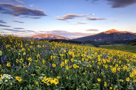 Spring In Crested Butte Crested Butte Colorado Scott Papek Fine