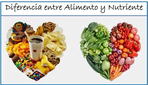 Diferencia Entre Alimento Y Nutriente Con Cuadro Comparativo Reverasite