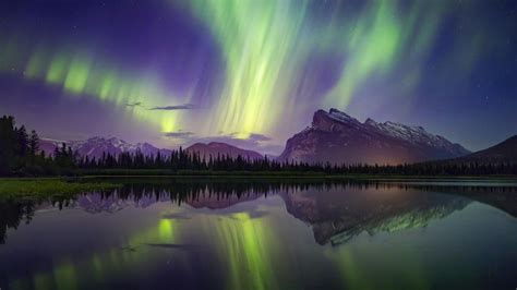 Northern Lights In Banff National Park Backiee