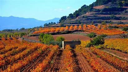 Spain Catalonia Mountains Plantation Qhd Wallpapers Zoom