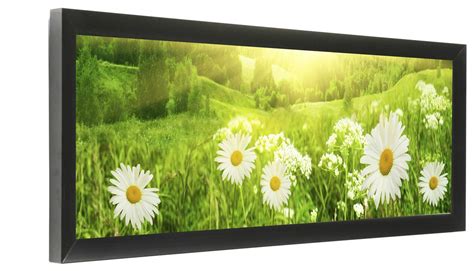 24 X 8 Panoramic Photo Frame Wall Mount Rear Loading