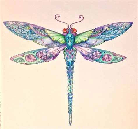 Dragonfly Enchanted Forest Coloring Book Johanna Basford Enchanted