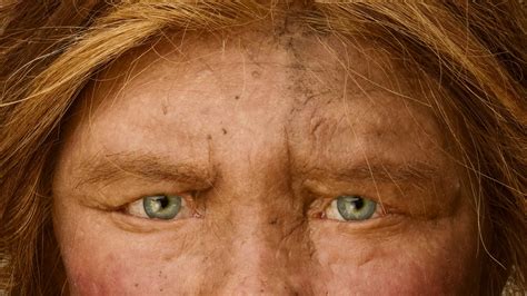 Multiple Lines Of Mysterious Denisovans Interbred With Us