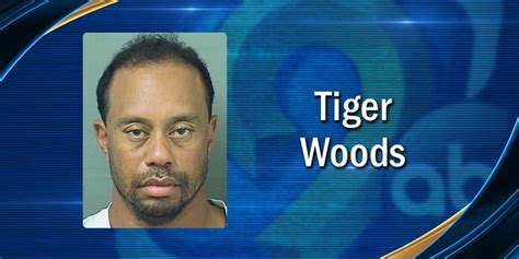 update tiger woods blames dui arrest on prescription medications