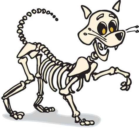 Free Dog Skeleton Cliparts Download Free Dog Skeleton Cliparts Png