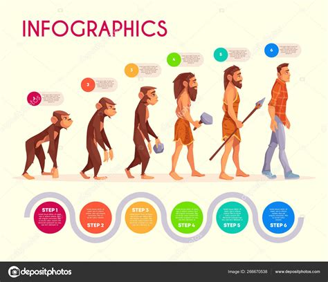 Human Evolution Infographics Time Line Transform — Stock Vector