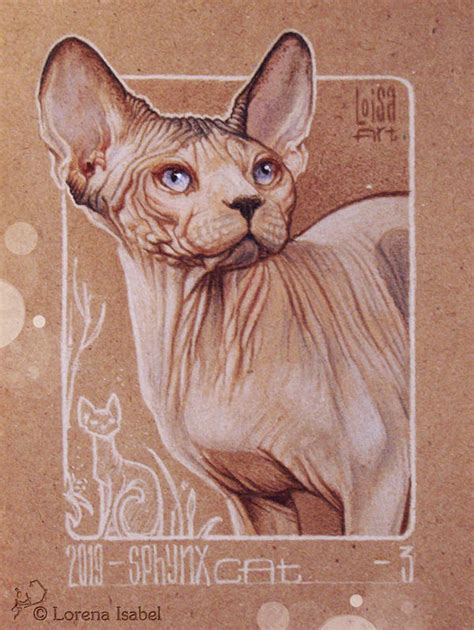03 Sphynx Cat By Loisa On Deviantart