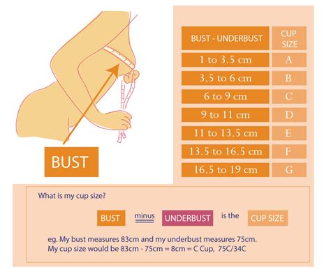 Your cups should look even and full, if they look empty or have excessive room you may need to go down in cup as mentioned, there are many different breast sizes, which means that what may work for one woman, won't work for the next. Bra Size Chart - Bamboo Mi