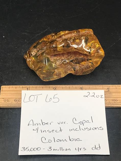 Amber Fossil Natural Decor Collectible Specimen