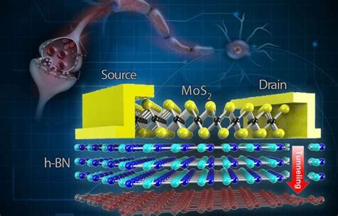 Pin On Amazing Nanotechnology Facts And Links