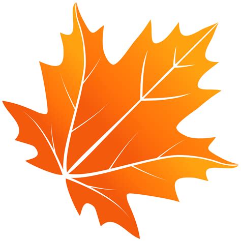 Maple Leaf 1201813 Png