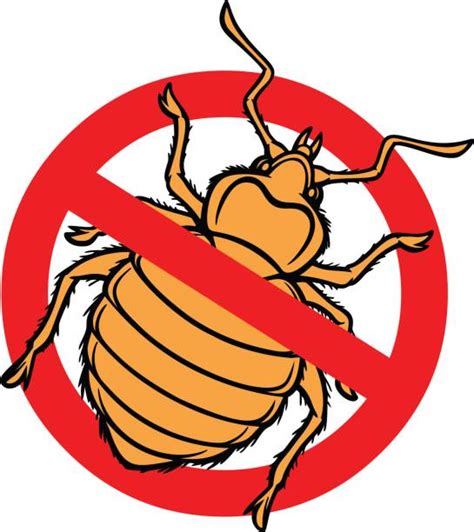 330 Bed Bugs Cartoons Stock Photos Pictures And Royalty Free Images