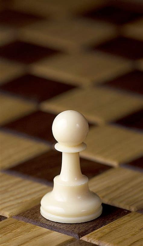 Pion échecs — Wikipédia Chess Pieces Chess Board Chess