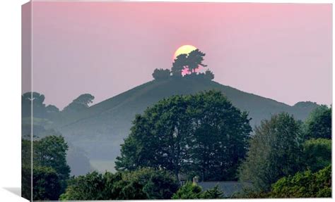 Colmers Hill Canvas Prints Pictures Wall Art For Sale