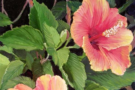 Hibiscus Flower Art Printhibiscus Flower On Canvas Printpink Etsy