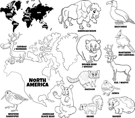 dibujos animados de animales de América del Norte conjunto página de