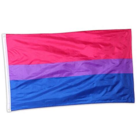2 pack bisexual pride flag 5x3 feet for pride month parades events garden decor pack pick ‘n save