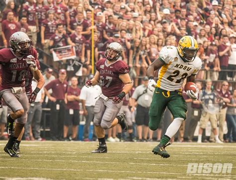 bison football depth leads the way bison illustrated