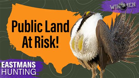 Texas Sized Public Land At Risk A Sage Grouse Conservation Story