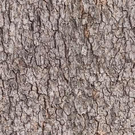 Tree Bark Fabric Etsy
