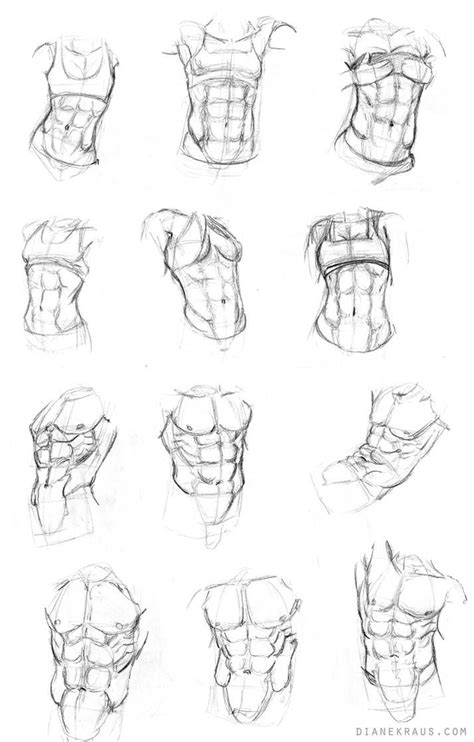 Torso Studies By Banjodi On Deviantart Art Reference Human Anatomy