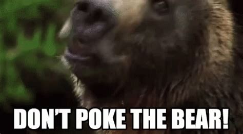 Dont Poke GIF Dont Poke The Discover Share GIFs Poke The Bear Dont Poke The Bear Bear