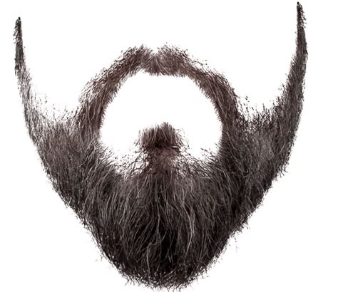 Maybe you would like to learn more about one of these? Beard PNG images free download