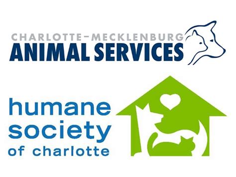 Charlotte Mecklenburg Animal Services And Humane Society Of Charlotte