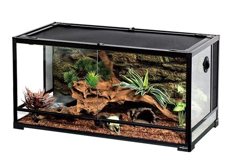 What Are The Best Glass Reptile Terrarium 2022 Best Exotic Pets