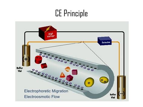 Capillary Electrophoresis Presentation