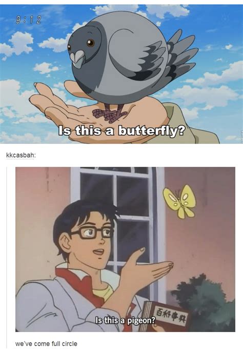 Is this a bird butterfly butterfly man meme generator. Is it | Is This a Pigeon? | Know Your Meme
