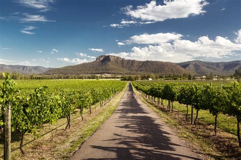6 Hunter Valley Wineries You Should Visit On Your East Coast Adventure