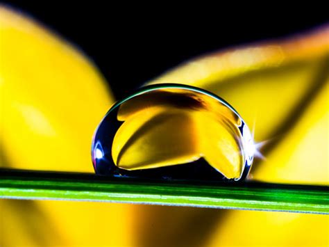 Macro Water Drop Photography How To Photograph Water