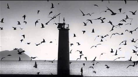 Nine lives until you fall at my feet. Lirik To Build a Home - The Cinematic Orchestra dan ...