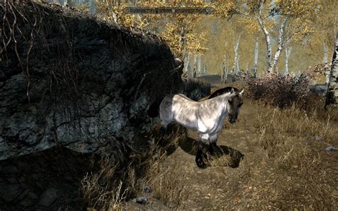 Real Wild Horses At Skyrim Nexus Mods And Community