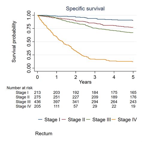 Specific Survival Rates For Rectal Cancer According To Stages On Download Scientific Diagram
