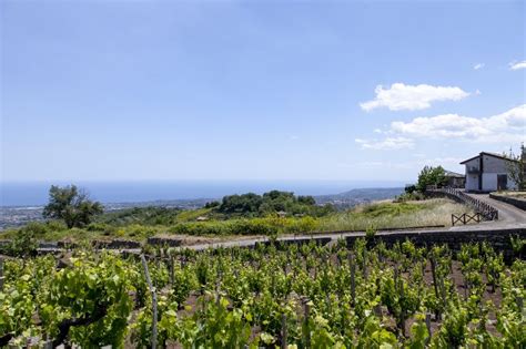 The covington scandal proves that american journalists are unhinged, dishonest, disreputable and cruel. 1 recensioni e 12 foto per Casa Vacanze Sorbello dell'Etna ...