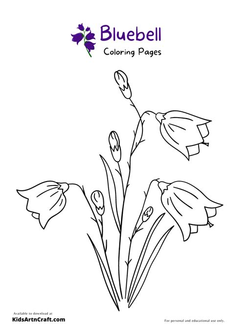 Blue Bell Flower Coloring Pages Sketch Coloring Page