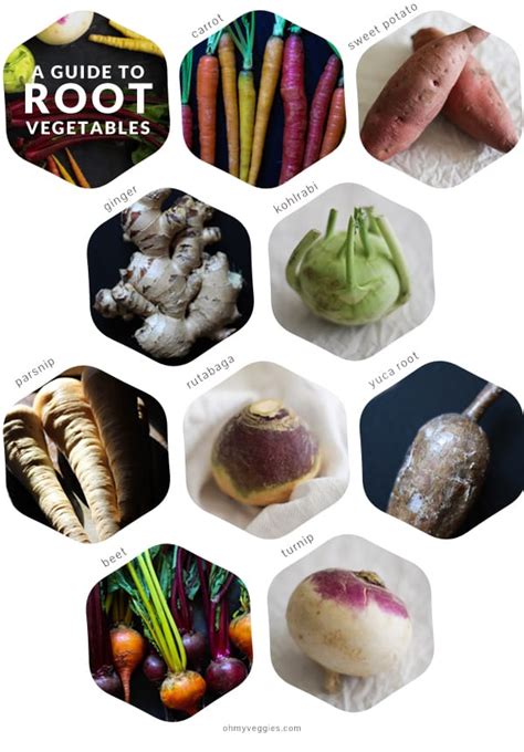 A Guide To Root Vegetables For Vegetarian Cooks From Oh My Veggies