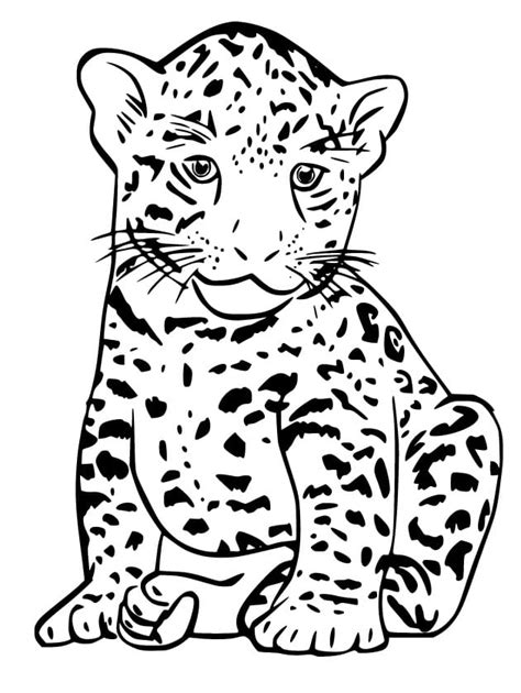 Dibujos De Pequeño Jaguar Para Colorear Para Colorear Pintar E