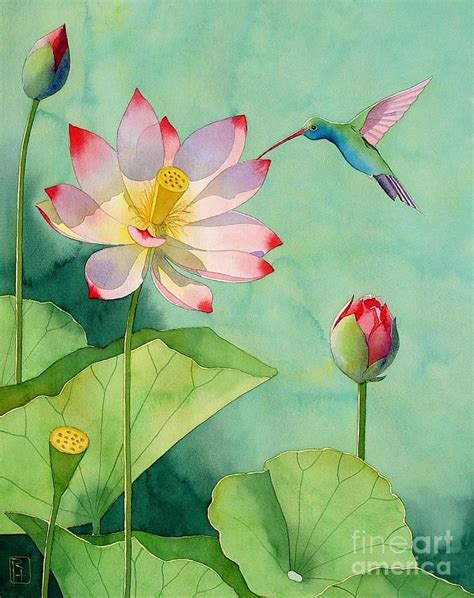 Lotus And Hummingbird By Robert Hooper Lotus Flower Painting