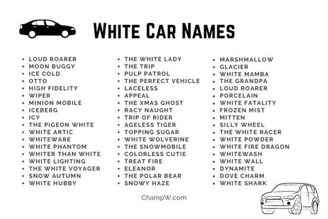 450 White Car Names That Are Catchy And Unique