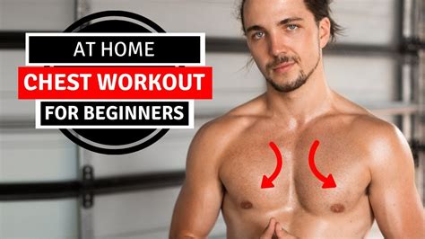 Chest Workouts At The Gym For Beginners