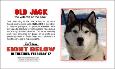 It comes across as if he actually does have a bond with the dogs, which is obviously key. film eight below