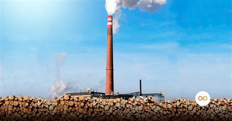 Vantagens E Desvantagens Da Energia Da Biomassa